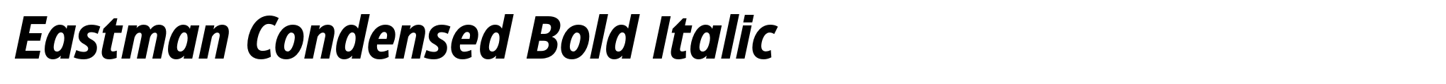Eastman Condensed Bold Italic image